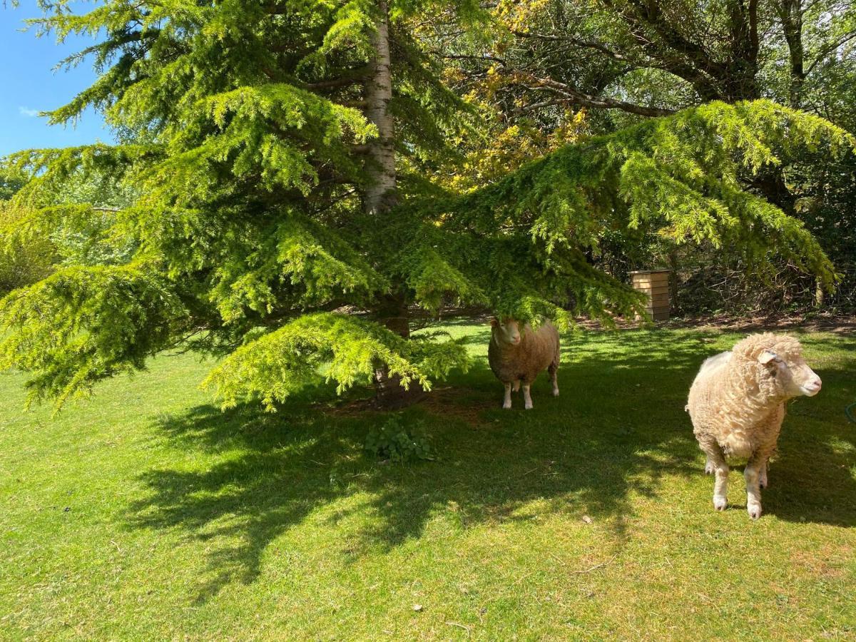 Sika Hut Villa Wareham Dış mekan fotoğraf