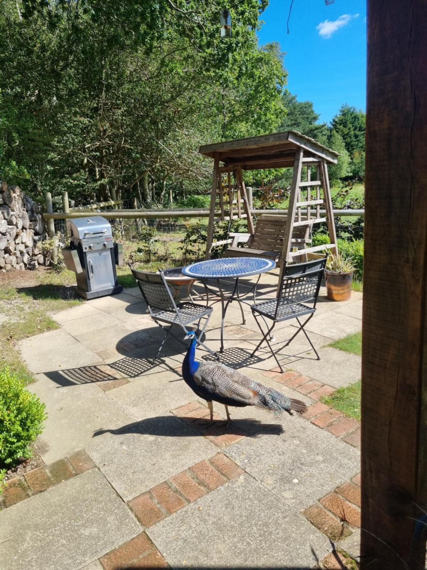 Sika Hut Villa Wareham Dış mekan fotoğraf