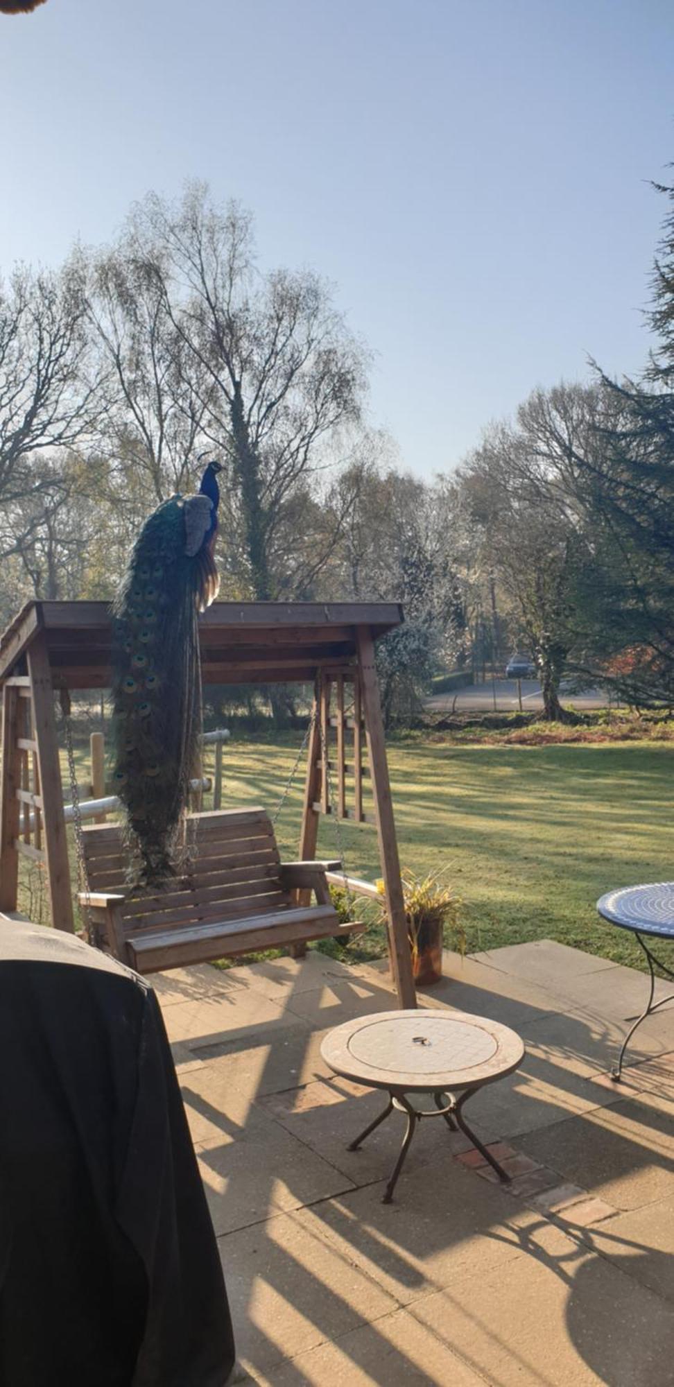 Sika Hut Villa Wareham Dış mekan fotoğraf