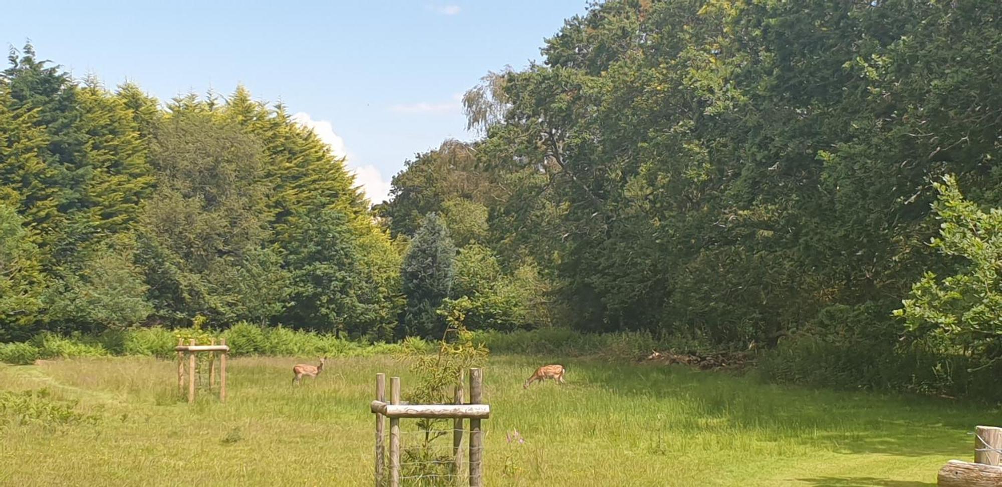 Sika Hut Villa Wareham Dış mekan fotoğraf