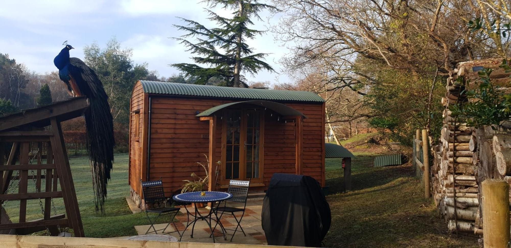 Sika Hut Villa Wareham Dış mekan fotoğraf